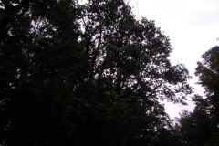 eRemiza_1119084_5d77d8cc1ecc5051985f7cf8.WJx_.8