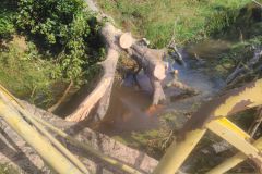 eRemiza_1119084_5d81f9611ecc501db0b92b74.oO7_.8