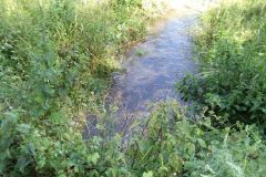 eRemiza_1119084_5f1942891ecc5054147c022a.12fe.8