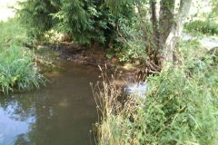 eRemiza_1119084_5f1944381ecc5054147c0261.nW3_.8