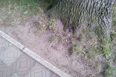 eRemiza_1119084_5f26ca5b1ecc5036449d6bb2.yQK_.8