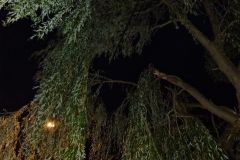 eRemiza_1119084_614e0d0d1ecc501a4879a0bd.fhb_.8
