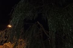 eRemiza_1119084_614e0d3c1ecc501a4879a0cc.TTL_.8