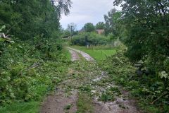 #86 03.08.2023r. Przebendowo - drzewo powalone na drogę gminną