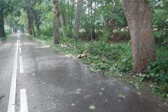 eRemiza_1119084_64ce6341d4da76090030fde1.x58.8