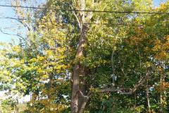 eRemiza_1119084_67137329d4da764654268abc.1HhV.8