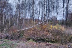 eRemiza_1119084_5dd65b331ecc504d10215228.sI3_.8