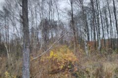 eRemiza_1119084_5dd65b501ecc504d1021522f.idW_.8