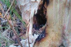eRemiza_1119084_5dd65c441ecc504d10215252.Q5U.8