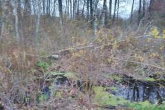 eRemiza_1119084_5dd65d6f1ecc504d10215262.hbC_.8