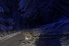 eRemiza_1119084_6781eff3d4da761c4c0a0529.YXD_.8