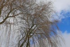 eRemiza_1119084_6013e5861ecc504e88768ca3.13B2.8