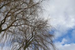 eRemiza_1119084_6013e6341ecc504e88768cb9.1DMJ.8