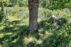 eRemiza_1119084_62ac42dfd4da76545cc02020.1OVL.8