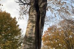 eRemiza_1119084_6902222ed4da760b00214951.1CiE.8
