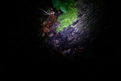 eRemiza_1119084_5df515031ecc501b1842ec5f.CF1_.8