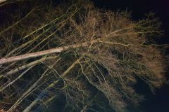 eRemiza_1119084_5df519441ecc501b1842eca0.qwl_.8