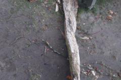 eRemiza_1119084_6724eb66d4da76554c315d10.Trs_.8