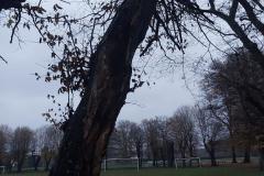 eRemiza_1119084_6724eb82d4da76554c315d1e.kSO_.8