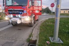 eRemiza_1119084_64dd15a5d4da761294bf4fac.daz_.8