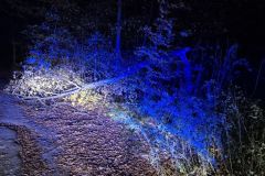 eRemiza_1119084_6726555ad4da774fdcdad694.c05.8