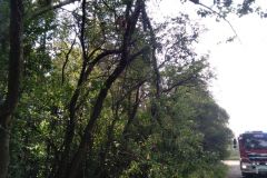 eRemiza_1119084_5f2ea2881ecc505d882252d7.uAB_.8