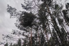 eRemiza_1119084_5e09ddd61ecc5050284cf717.kvy_.8