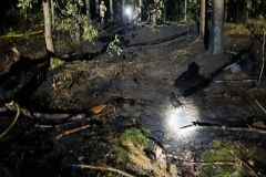 #97 28.06.2022r. Leśnictwo Sasino oddział leśny 299m - pożar poszycia leśnego