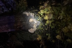 eRemiza_1119084_6903b74fd4da760b002194cc.ZVy_.8