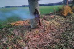 eRemiza_1119084_5e0a061e1ecc5053405d6d3e.niU_.8