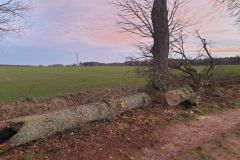 eRemiza_1119084_5e0a0c971ecc5053405d6d85.lYc_.8