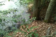 #99 28.06.2022r.  Przebendowo  - pożar  poszycia leśnego 