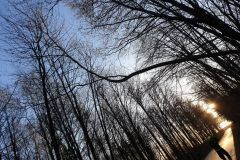 eRemiza_1119084_5e0b49b61ecc5054f8d96574.1VUk.8