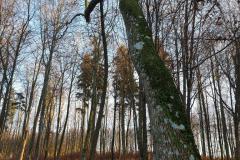 eRemiza_1119084_5e0b49fa1ecc5054f8d9658c.1KnQ.8