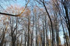 eRemiza_1119084_5e0b4a1a1ecc5054f8d96594.1My5.8