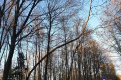 eRemiza_1119084_5e0b4a301ecc5054f8d9659c.1GoK.8