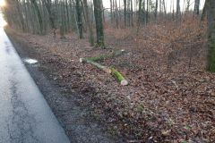 eRemiza_1119084_5e0b4ae91ecc5054f8d965b3.1Bjm.8
