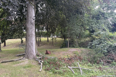 eRemiza_1119084_6a91a08cd4da763e80244e96.1Qs3.8