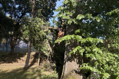 eRemiza_1119084_6a9c30dad4da7610542526f0.1UUs.8