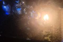 eRemiza_1119084_6aab5ce0d4da763c04b13398.8jL.8