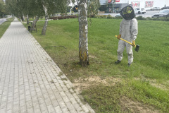 eRemiza_1119084_6abcefe1d4da764dc88c3ff3.14Ii.8