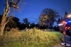 eRemiza_1119084_6ace63f8d4da761da4c238a5.dwI_.8