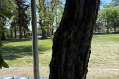 eRemiza_1119084_6a104539d4da764e088f521e.tEX_.8