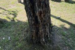 eRemiza_1119084_6a10453fd4da764e088f5225.1CZY.8