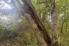 eRemiza_1119084_6a201ee2d4da76383cb0a79d.1D2S.8
