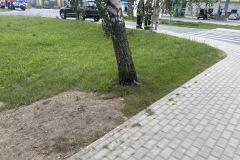 eRemiza_1119084_6a720ddbd4da76532820aecd.18ER.8