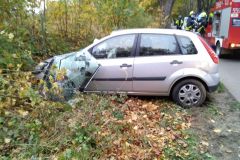 eRemiza_1119084_5f997e2d1ecc502bb09ba325.n3h.8